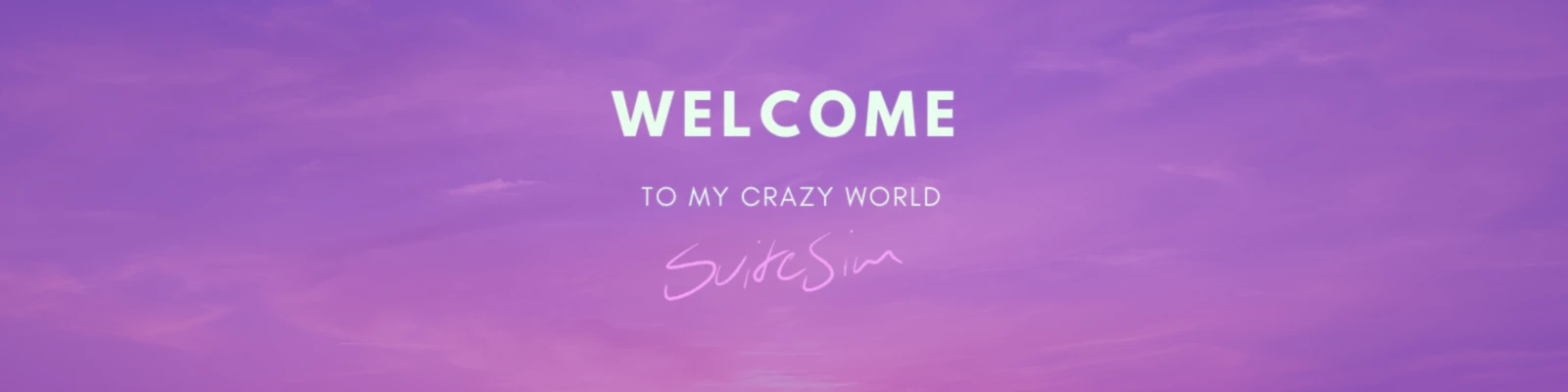 Banner image of SuiteSim
