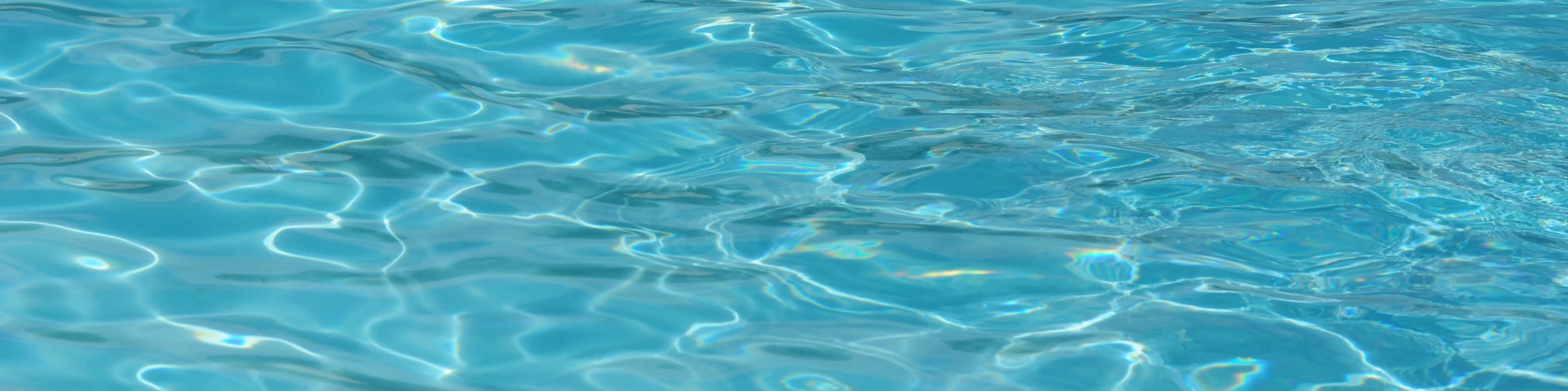 Banner image of Ann-Sofi Svensson