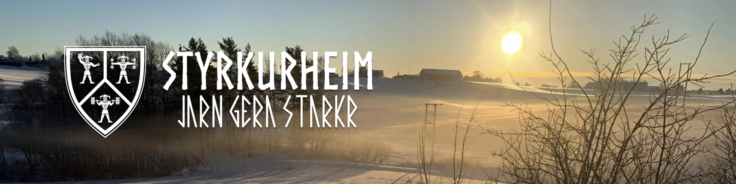 Banner image of LifeOnLars