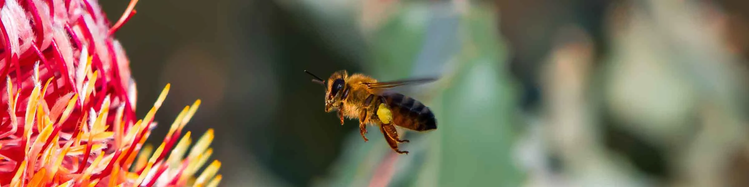 Banner image of Jason Gilbert Photography