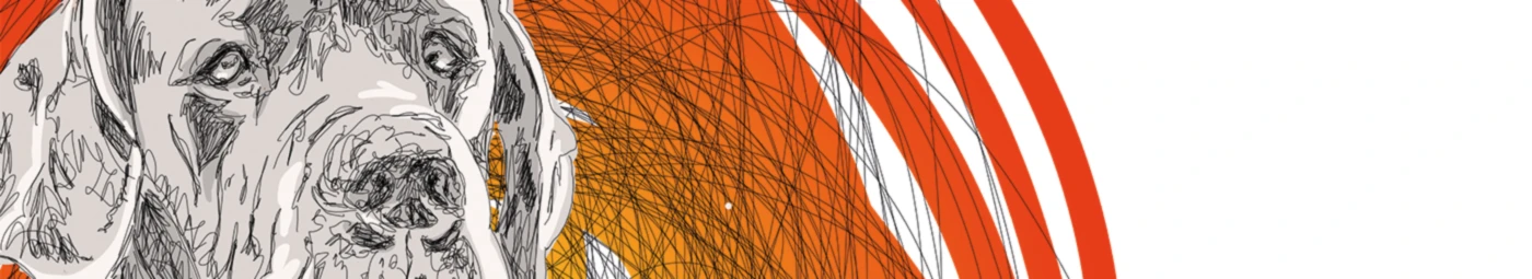 Banner image of mischga