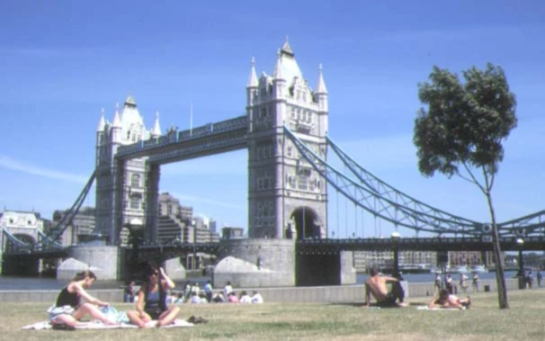 Banner image of TEE MASTER