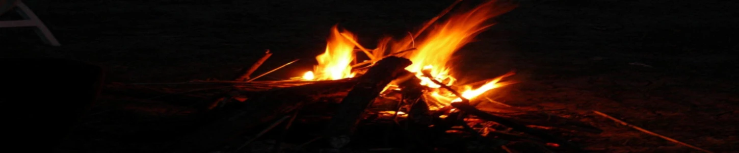 Bannerbild von 119355574