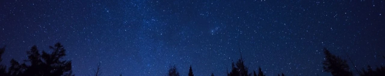 Banner image of Leon.stz