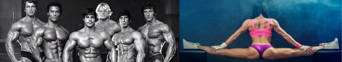 Banner image of Cirus2390