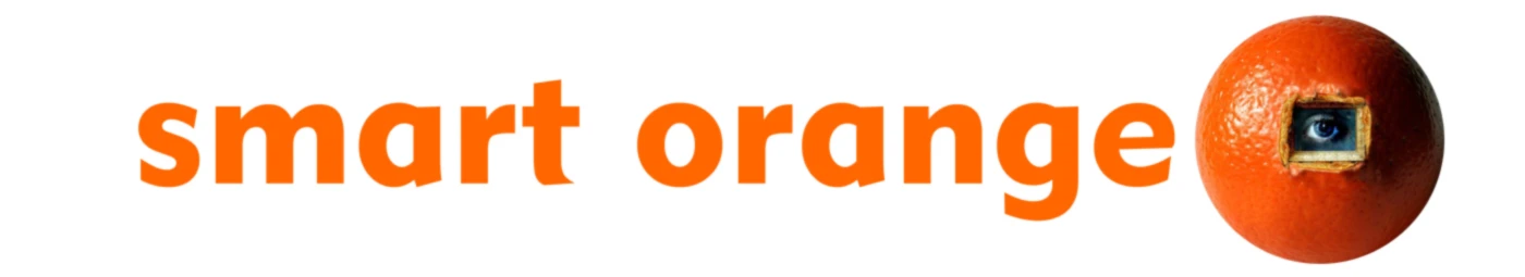 Bannerbild von smart orange