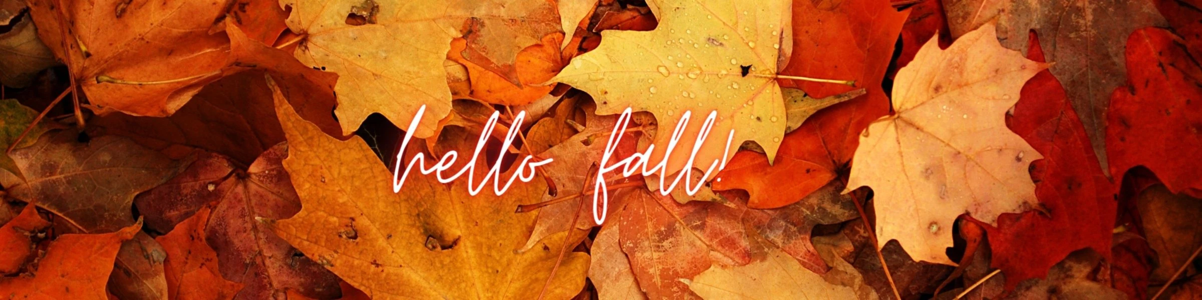 Banner image of Cozy Couchpotato