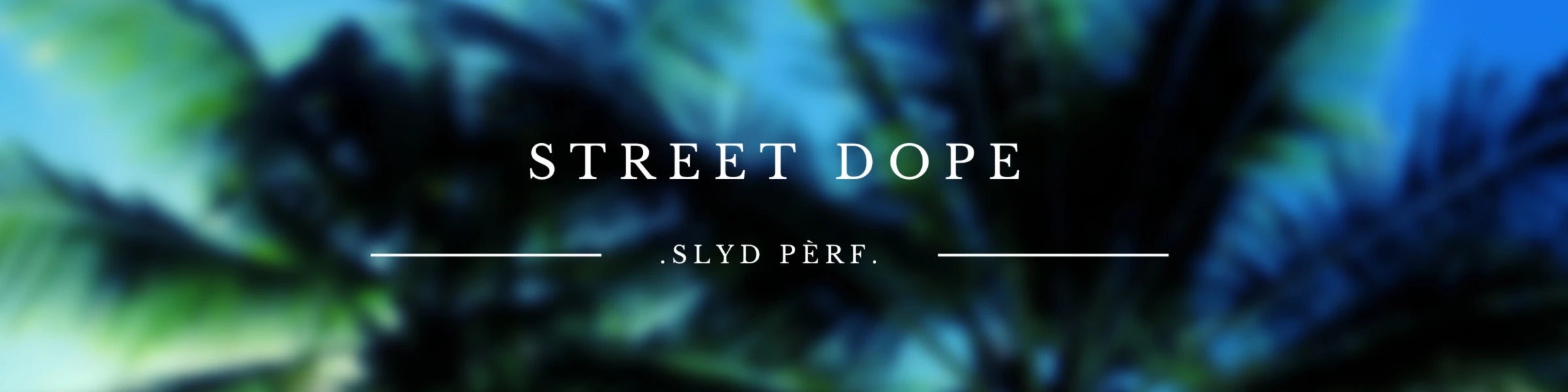 Banner image of Slyd performance