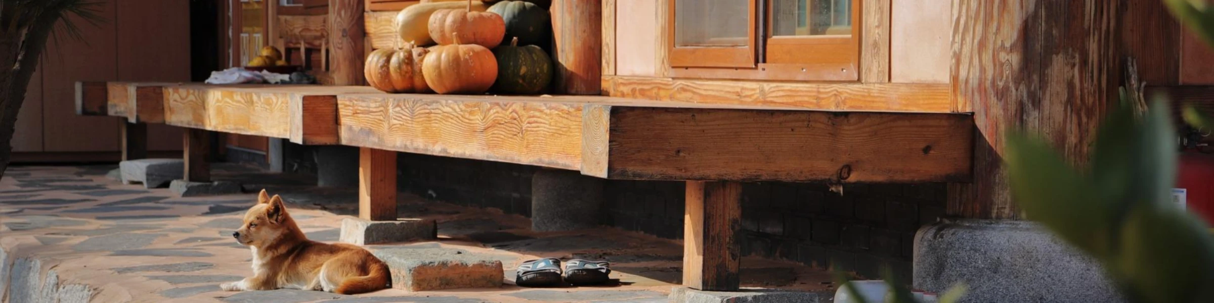 Banner image of DESIGNbyGI