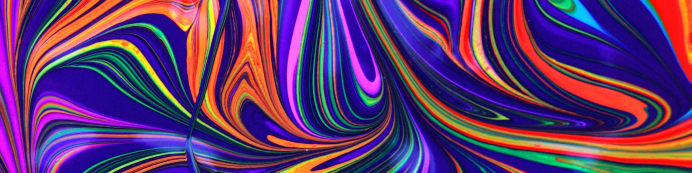 Banner image of Disegno