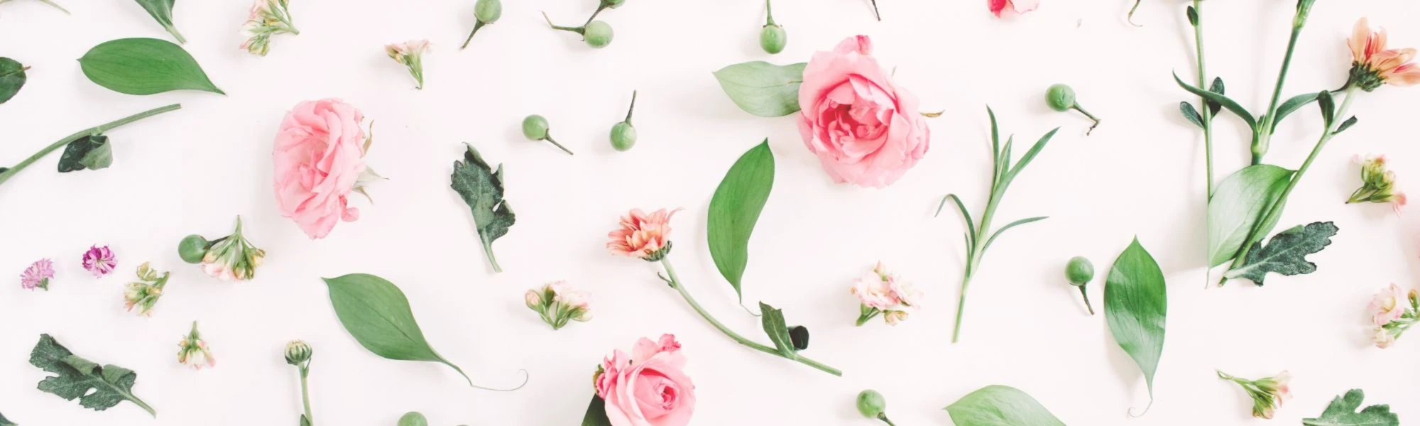 Banner image of Natias Prints