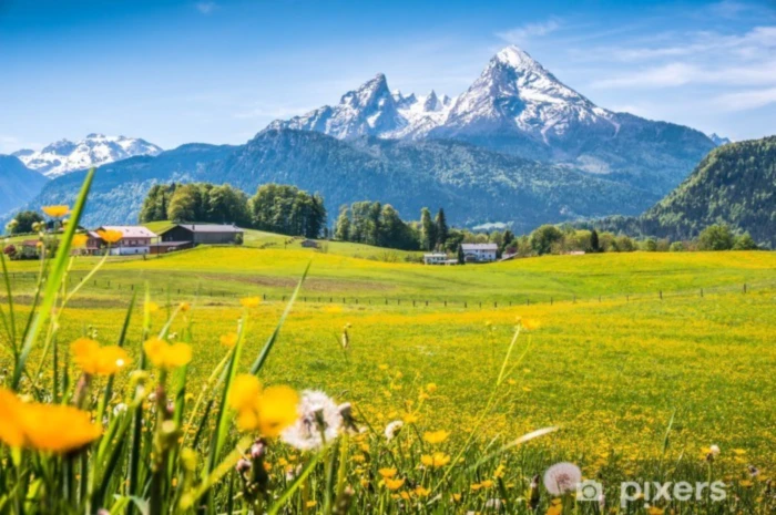 Banner image of 119443772