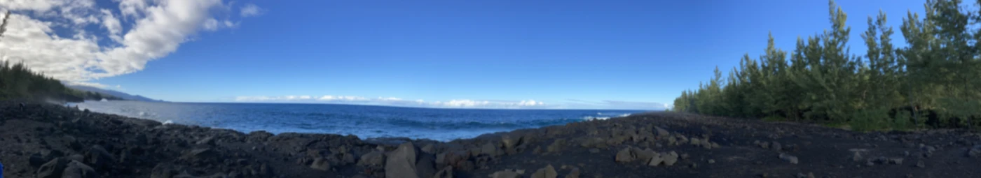 Banner image of BIENES Edition