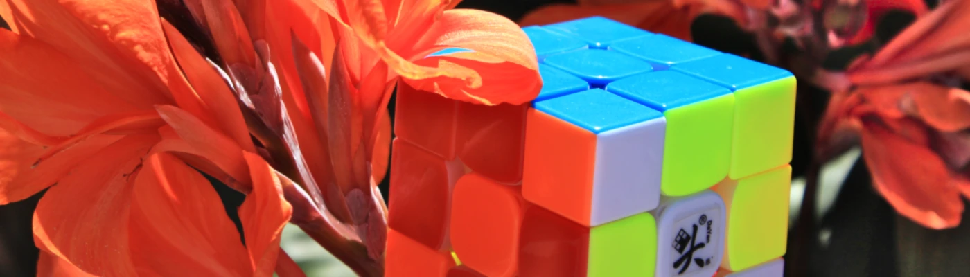 Banner image of HugaCuba