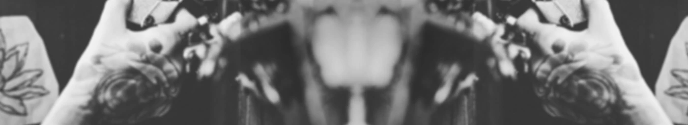 Banner image of euler ink