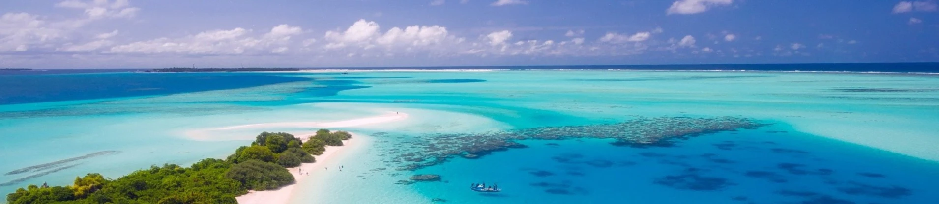 Banner image of nick9nick