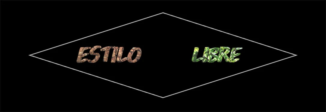 Banner image of ESTILO LBE