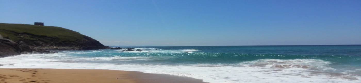 Banner image of Maveland