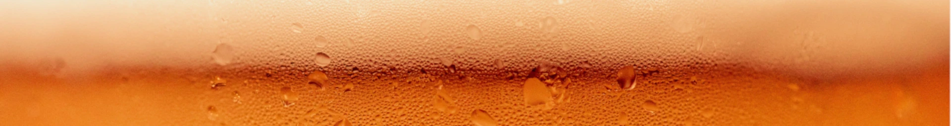 Banner image of Beule1988