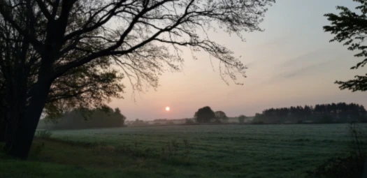 Bannerbild von Stefan R.