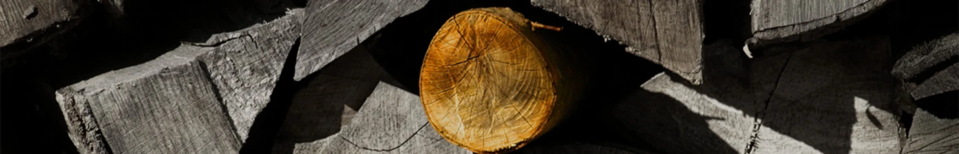 Bannière de Miss Lumberjack