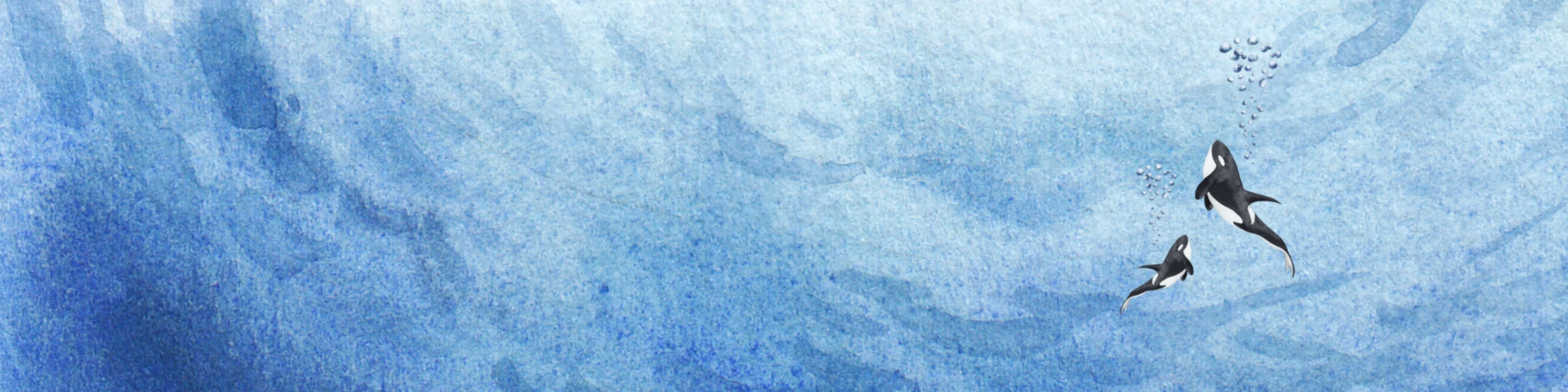 Banner image of JuSey