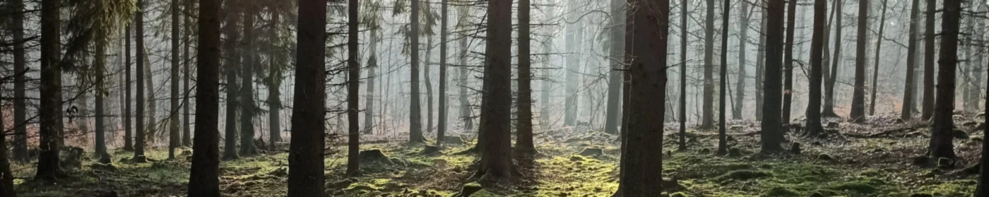 Bannière de T-Shirts by Moritz