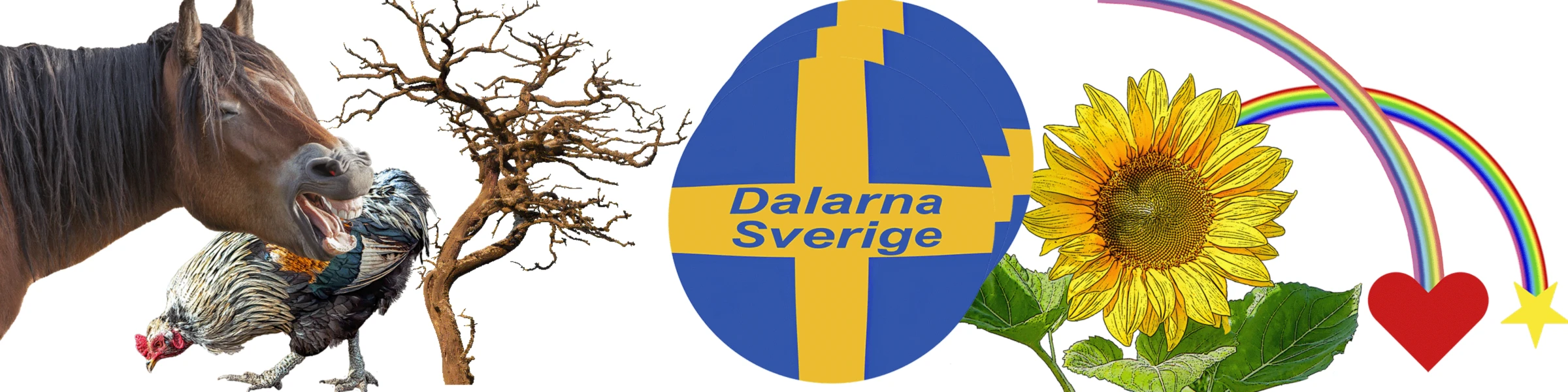 Banner image of Mylfoto