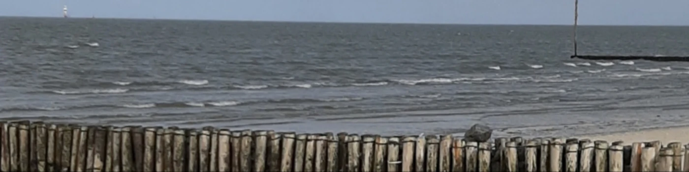 Banner image of HOOKSIEB