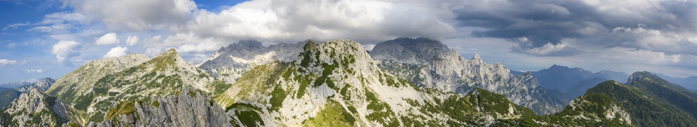 Banner image of Ulrich C. Beinert