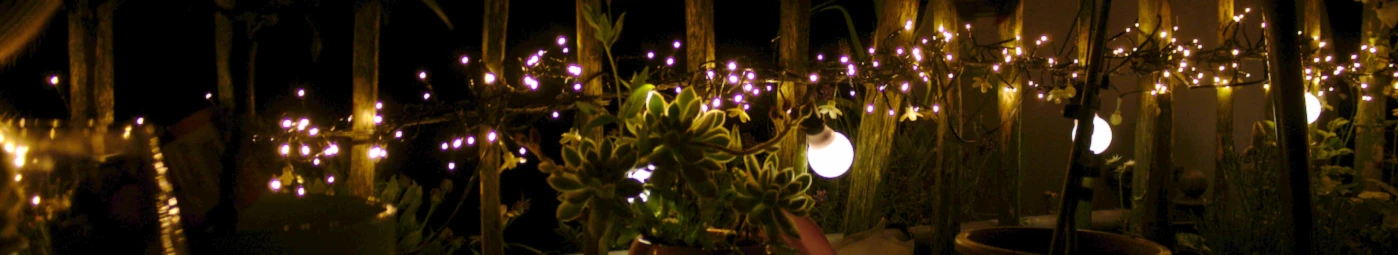 Bannerbild von Alice Wakenfield