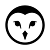 Funny Owl
