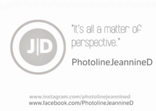 Bannière de PhotolineJeannineD