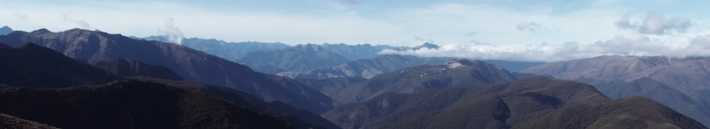 Banner image of 119713168