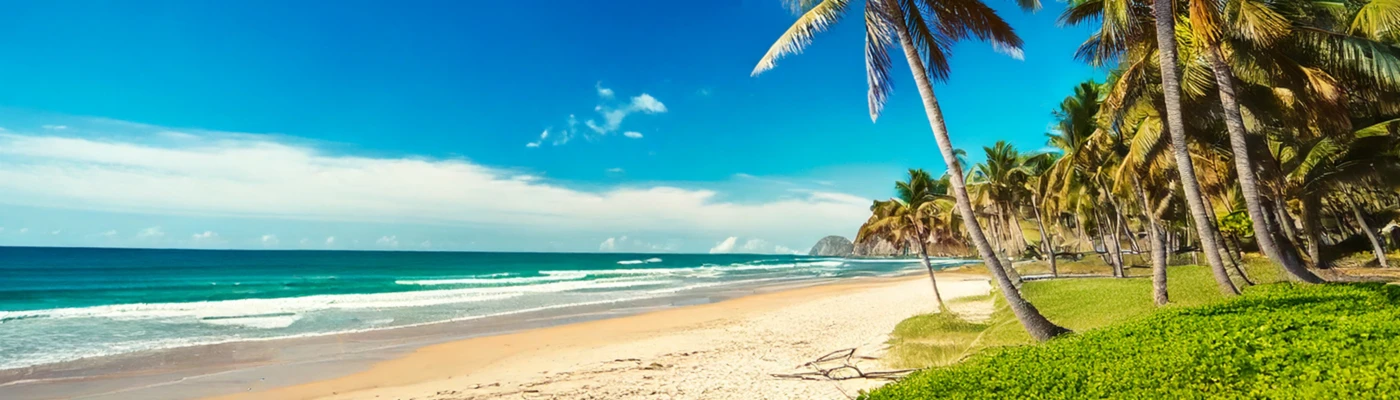 Banner image of 119726446