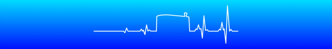 Bannière de Ici Boyardville