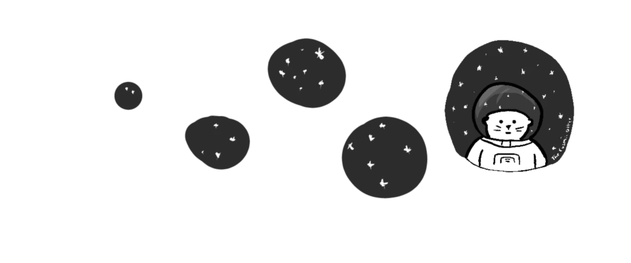 Banner image of The Cosmic Otter