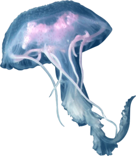 Banner image of LightMint