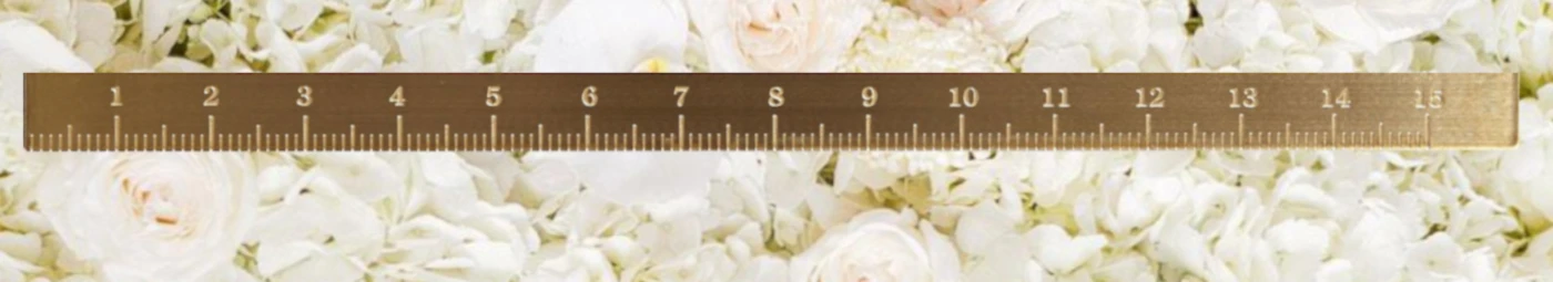 Banner image of SummerSunStories