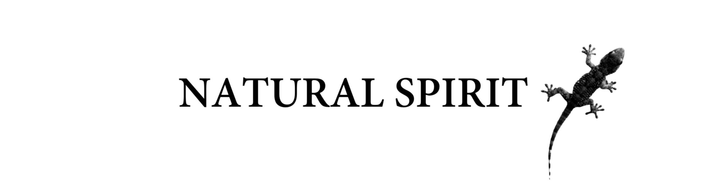 Bannière de Malaika