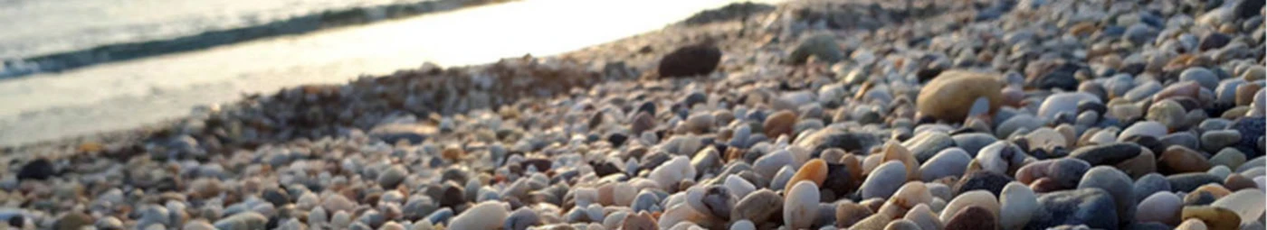 Banner image of Maitechu