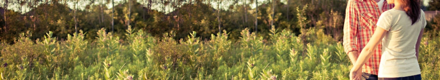 Banner image of 119828797