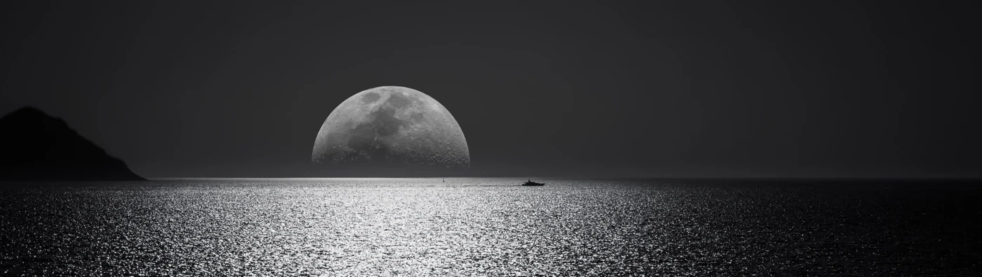 Bannerbild von Day One