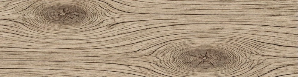 Bannerbild von LanuqeeID