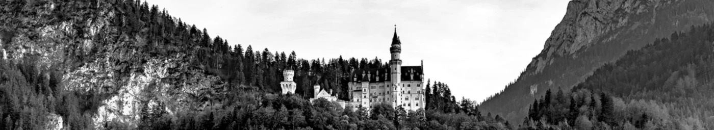 Banner image of ENKO