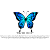 Butterfly Blue