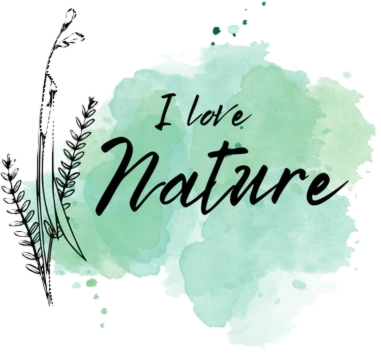 Bannière de Spreewaldliebe