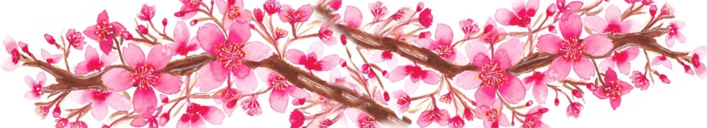 Banner image of Patiadami