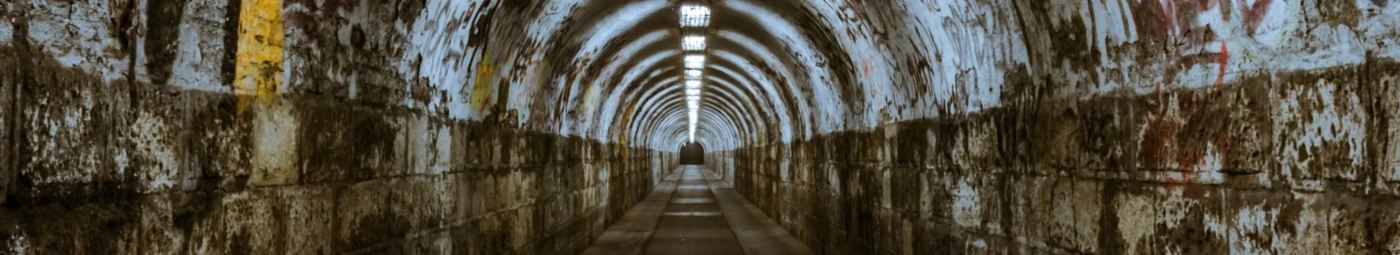 Banner image of nikolasbiehl