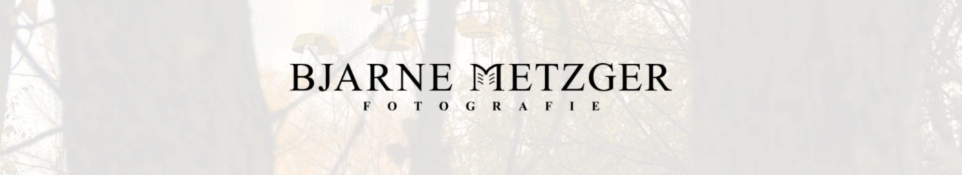 Banner image of 120065351